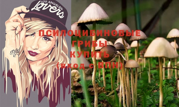 ECSTASY Алзамай