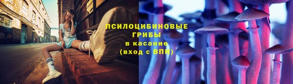 твердый Протвино