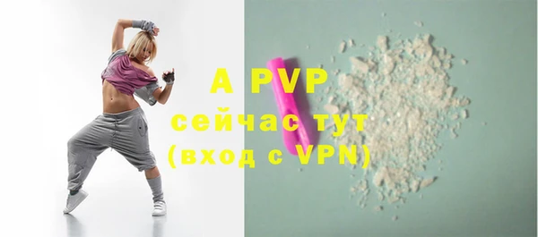 крисы Алексин