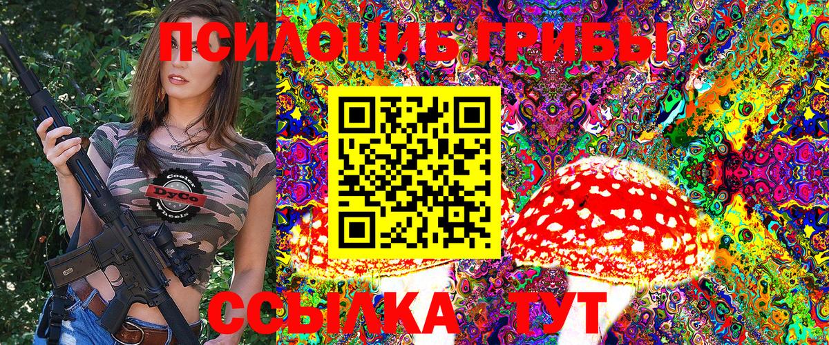 Псилоцибиновые грибы мицелий Старая Русса