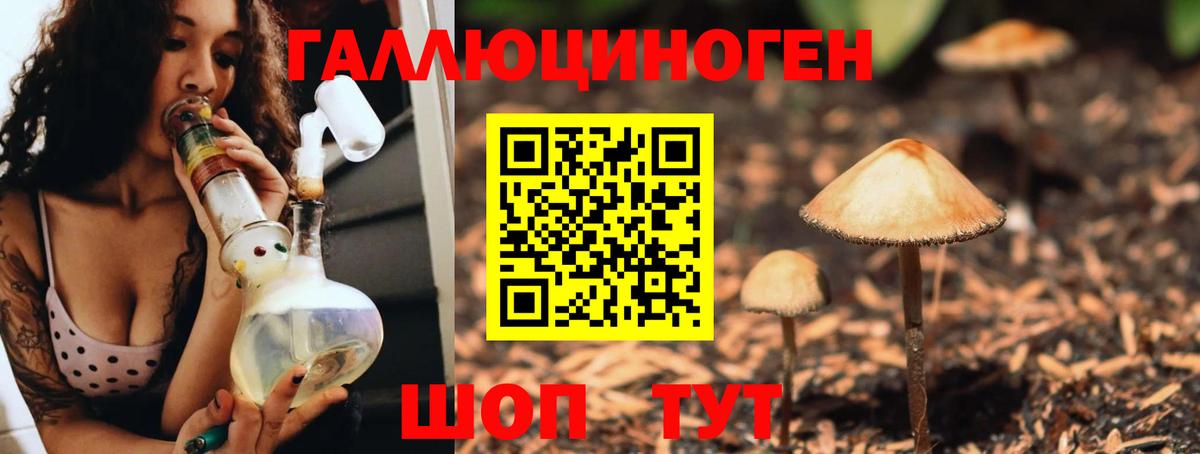 Старая Русса  Галлюциногенные грибы мицелий  Вход с VPN 